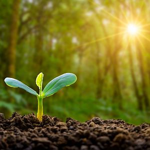 Tras la tormenta - Tras la tormenta - Renacimiento: Nazareth Castellanos - 09/09/23 - escuchar ahora