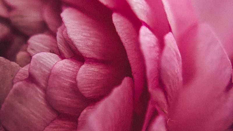 Noches en los jardines - Perfume provenzal - 08/09/23 - escuchar ahora