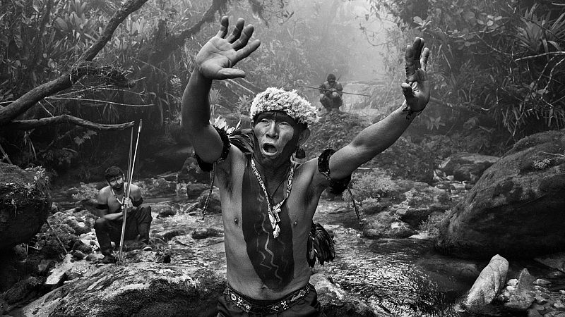 El gallo que no cesa - Vida y destrucción de la Amazonia con Sebastião Salgado - Escuchar ahora
