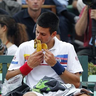 El gallo que no cesa