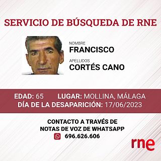 Servicio de búsqueda