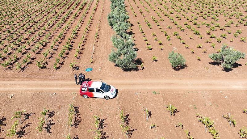Por tres razones - Drones y policía: así protegen la oliva en Extremadura - Escuchar ahora
