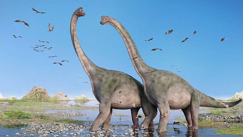 Memoria de delfín - Dinosaurios: 30 años de Parque Jurásico - 2ª hora - Escuchar ahora