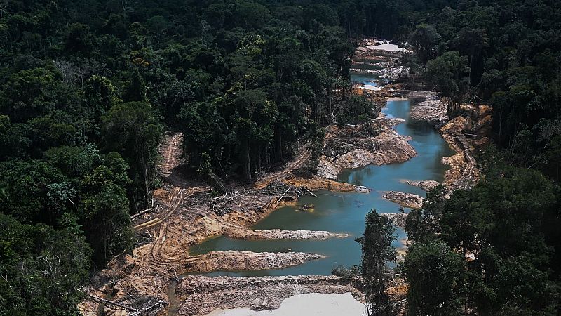 Cinco continentes - Créditos de carbono: ¿solución o amenaza? - Escuchar ahora 