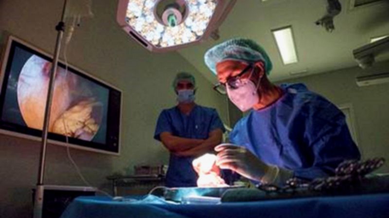 Nova terpia cellular contra les infeccions dels trasplantats de rony