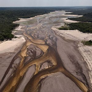 Vida verde - Vida verde - Sequía en el Amazonas provoca la muerte de peces y delfines - 14/10/23 - escuchar ahora