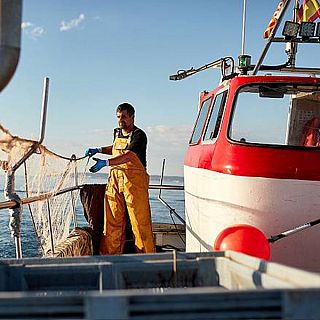 Españoles en la mar