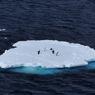 Respuestas de la Ciencia