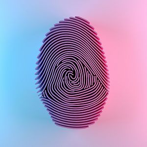 Seguridad del internauta - Seguridad del internauta - Suplantación de identidad - 09/11/23 - Escuchar ahora