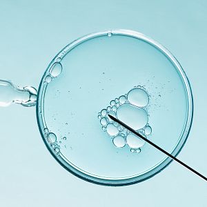 El laboratorio de JAL - El laboratorio de JAL - Inteligencia Artificial para mejorar la fertilidad en España - 30/11/23  - Escuchar ahora