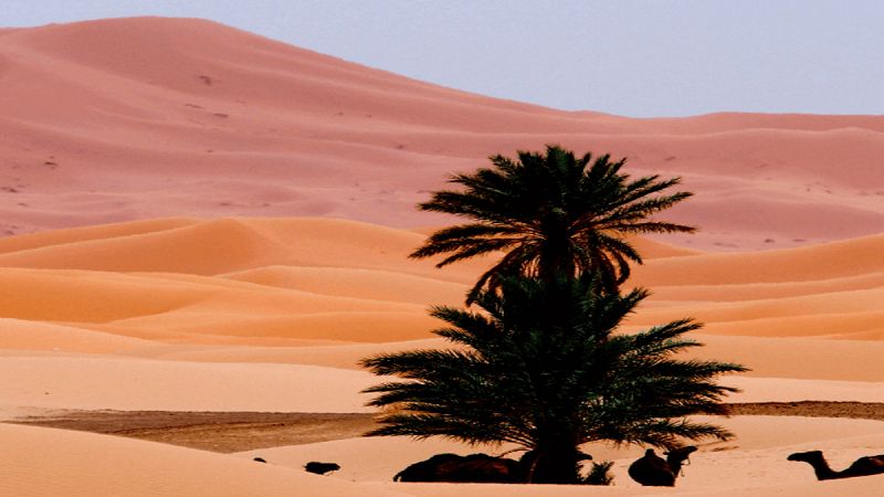 Miramondo multiplo - Cntico en el desierto - 04/12/23 - escuchar ahora