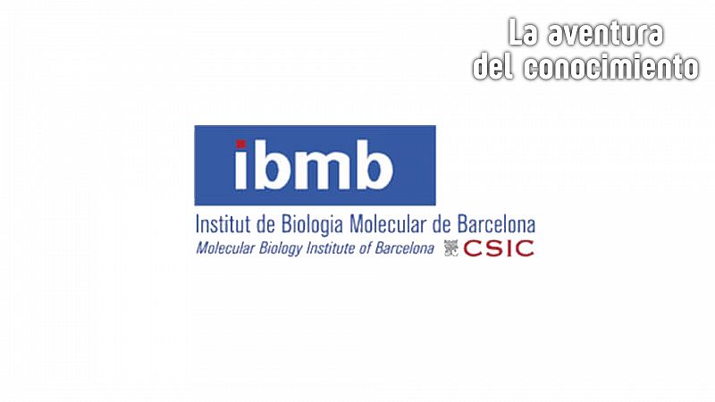La aventura del conocimiento - Instituto de Biología Molecular de Barcelona - Escuchar ahora