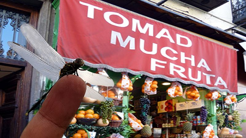 ¡Tomad mucha fruta!