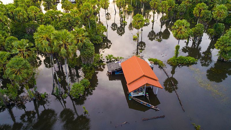 Más cerca - La COP28 ante el reto de la financiación climática - Escuchar ahora