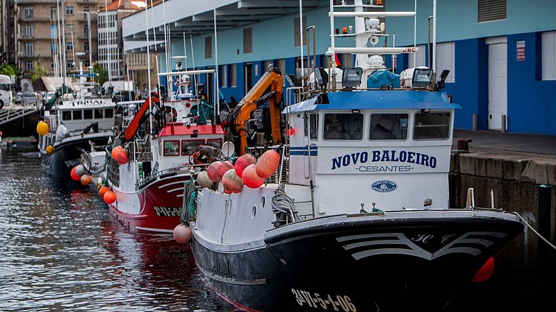 Españoles en la mar - Continúan las reacciones al acuerdo de pesca alcanzado en Europa - 14/12/23 - Escuchar ahora