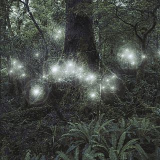 La vida secreta de las hadas