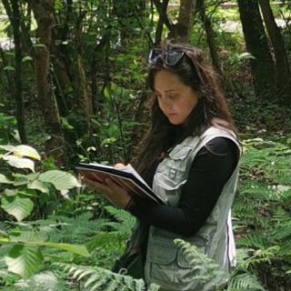 Una ventana al bosque, con Noelia Velasco