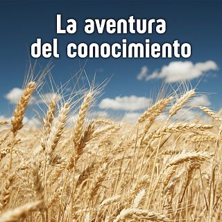 La aventura del conocimiento