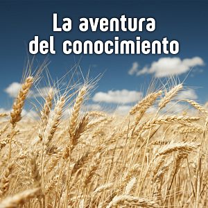 La aventura del conocimiento - La aventura del conocimiento - Instituto de Agricultura Sostenible del CSIC - Escuchar ahora