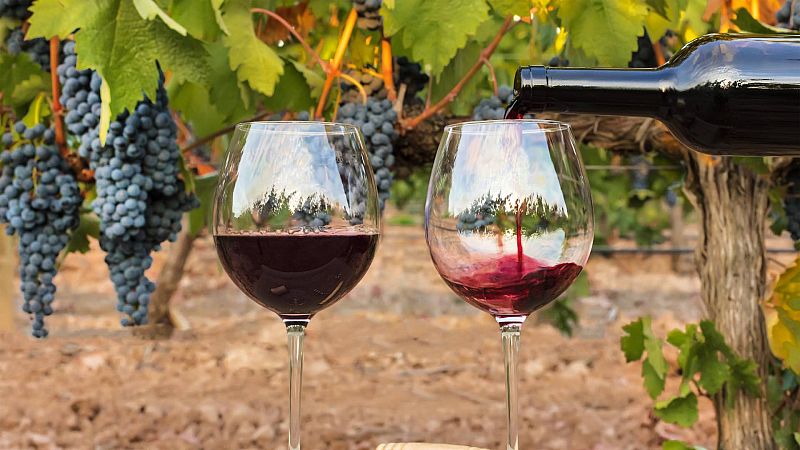 Un pa�s de vino - Brindando con Marcos Eguren - 30/12/23 - Escuchar ahora