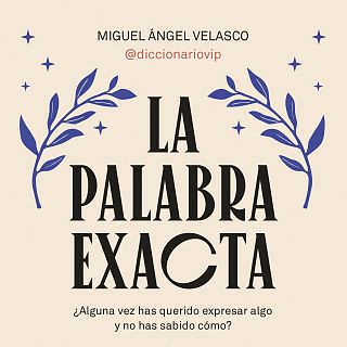 Música en todo su esplendor: La palabra exacta, el nuevo libro de Miguel  Ángel Velasco