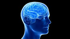 Marca España - España en la neurociencia mundial - 21/12/23