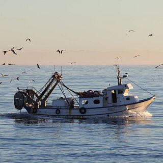 Españoles en la mar