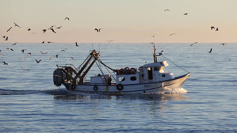 Españoles en la mar - La Comisión General de Pesca del Mediterráneo - 21/12/23 - Escuchar ahora