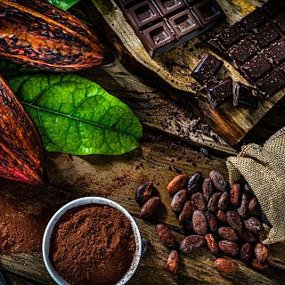 Raquel Gonz�lez, la primera catadora de chocolate de Espa�a