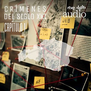 Crímenes del siglo XXI: El relato de víctimas e investigadores