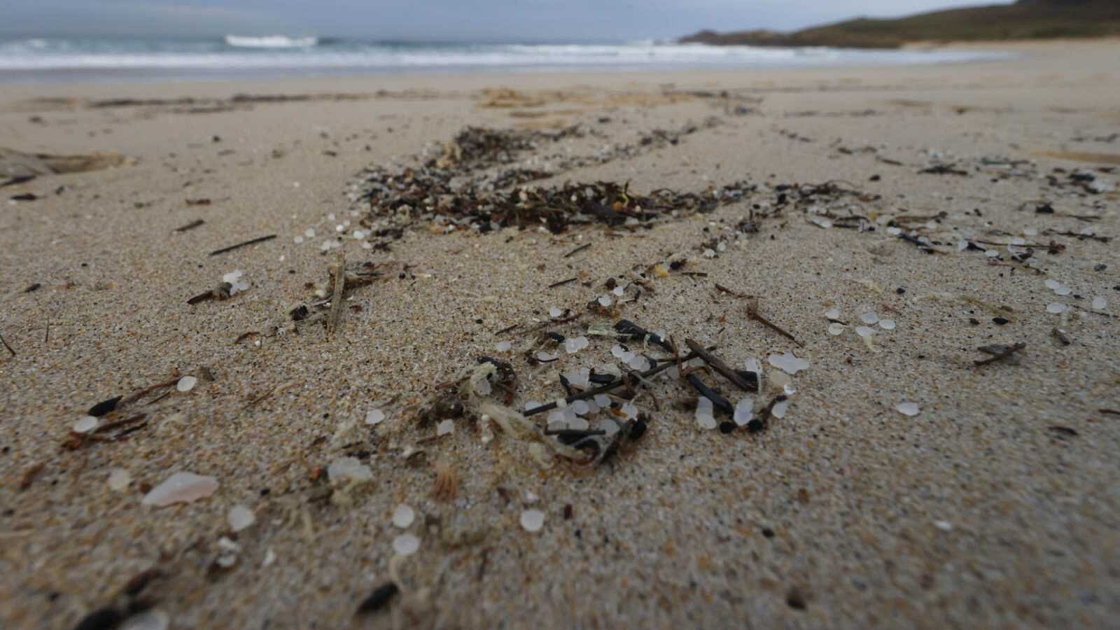 Denuncien l'abundant nombre de pèl·lets a la costa tarragonina