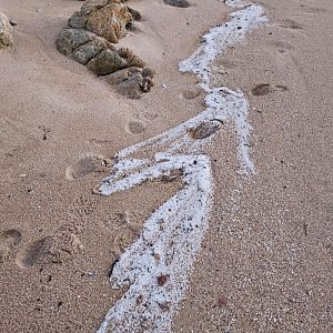 Por tres razones - Por tres razones - "Hay daño ambiental con los pélets, pero no es un Prestige" - 12/01/24 - Escuchar ahora