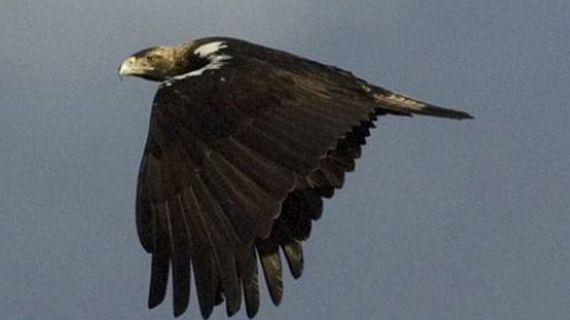 El hombre y la Tierra