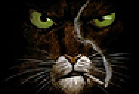 Viñetas y bocadillos