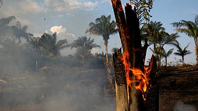 14 horas - Arde el Amazonas, principal recurso contra el cambio climático - Escuchar ahora