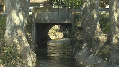 Arrenca la campanya de reg del Canal d'Urgell | Joana Sendra