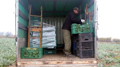 Catalunya registra un augment del 12% de la sinistralitat laboral | Climent Sabater