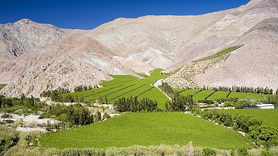 Crónicas de un nómada - El Valle del Elqui, un oasis en el desierto de Atacama - 10/11/19