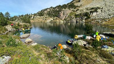 Un pesticida natural elimina espècies invasores als estanys d'alta muntanya | Joana Sendra