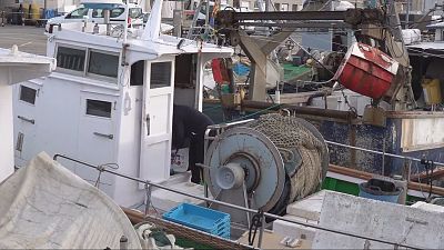 La Comissió Europea pacta una solució equilibrar la pesca d'arrosegament sostenible i la supervivència econòmica del sector