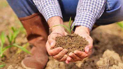 Marca España - La urgencia de una transición agroecológica en España - 22/07/22 - escuchar ahora