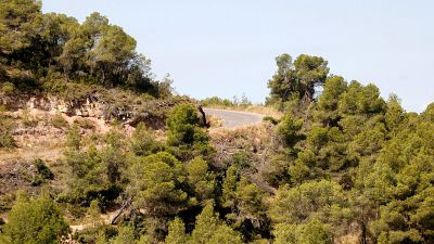 Nous espais tallafocs per evitar l'encadenament d'incendis | Judit Huerta
