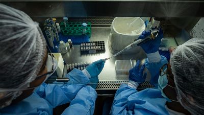 14 horas - Pros y contras de la suspensión de patentes: "Puede poner en riesgo la investigación de las farmacéuticas" - Escuchar ahora