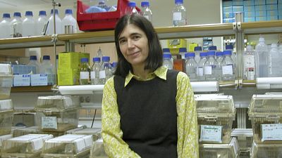 María Blasco: "Solo el 18% de científicas dirigen centros de