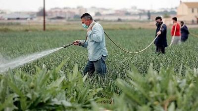 Reclamen un permís especial per contractar temporers sense papers | Joana Sendra