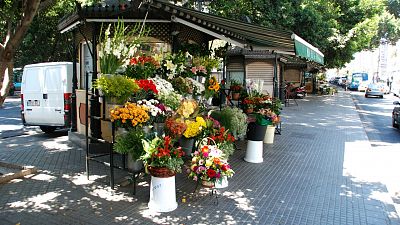 14 horas - El sector de las flores recupera mínimamente su actividad  - escuchar ahora