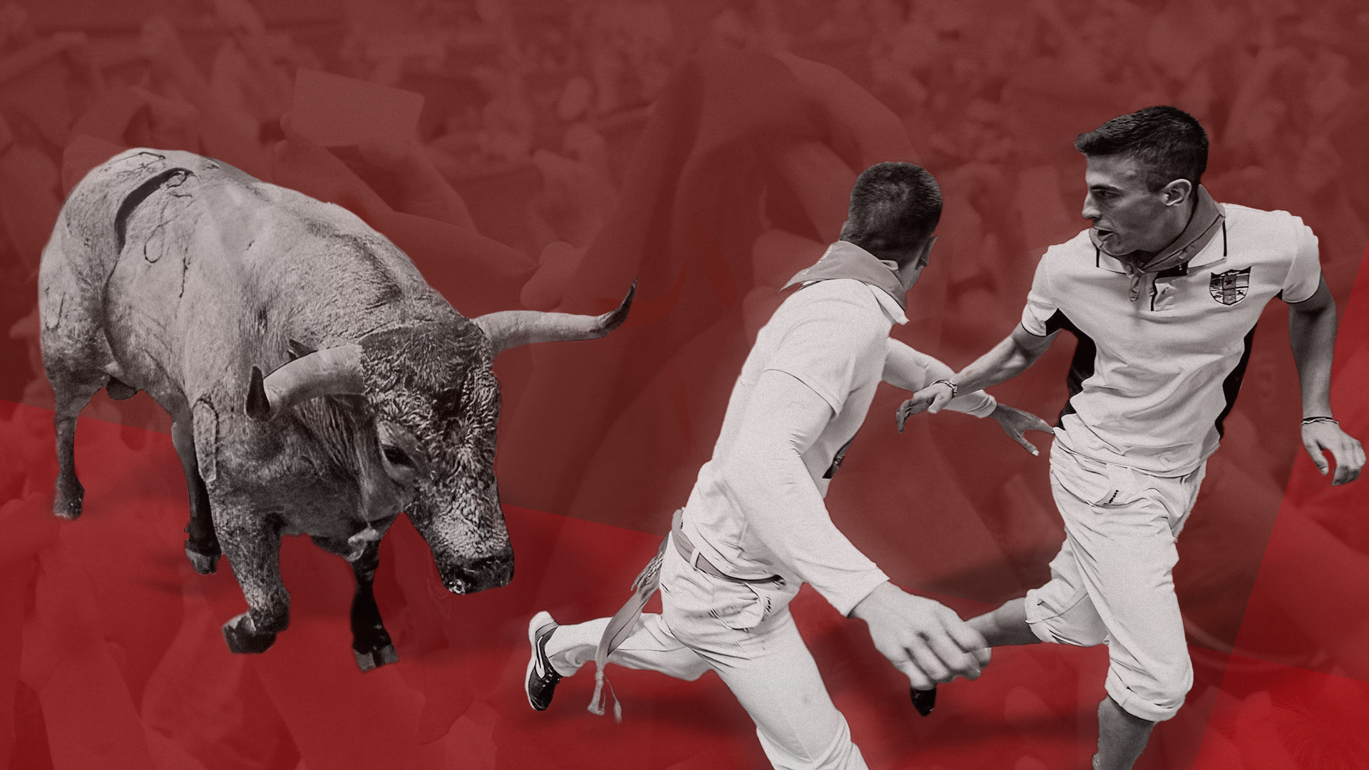 Disfruta en directo de los canales temáticos de RTVE Play