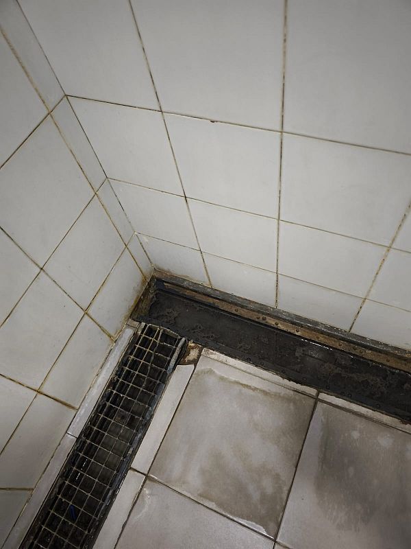 Un baño con azulejos blancos y juntas sucias, donde se observa una rejilla de drenaje metálica con signos de óxido. El estado general del baño sugiere falta de mantenimiento.