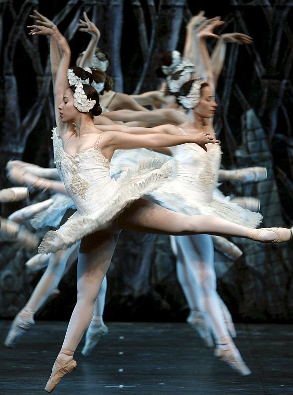 "EL LAGO DE LOS CISNES"