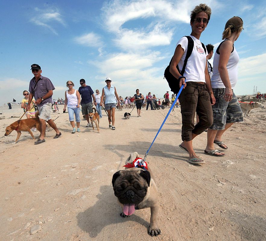 EVENTO DE MASCOTAS ËDOG WALKÍ EN ASKAR